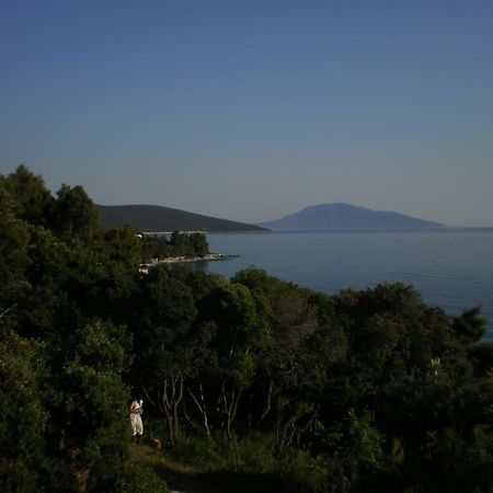 Apartments Pinezic Martinšćica 外观 照片